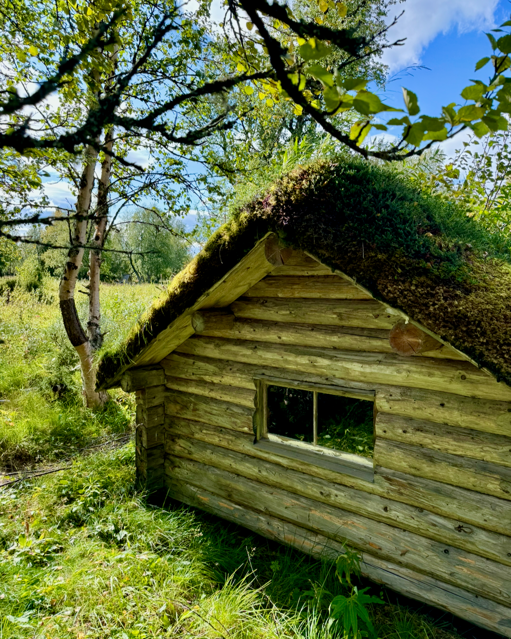 Wooden hunting cabin with a grassy roof surrounded by trees and greenery