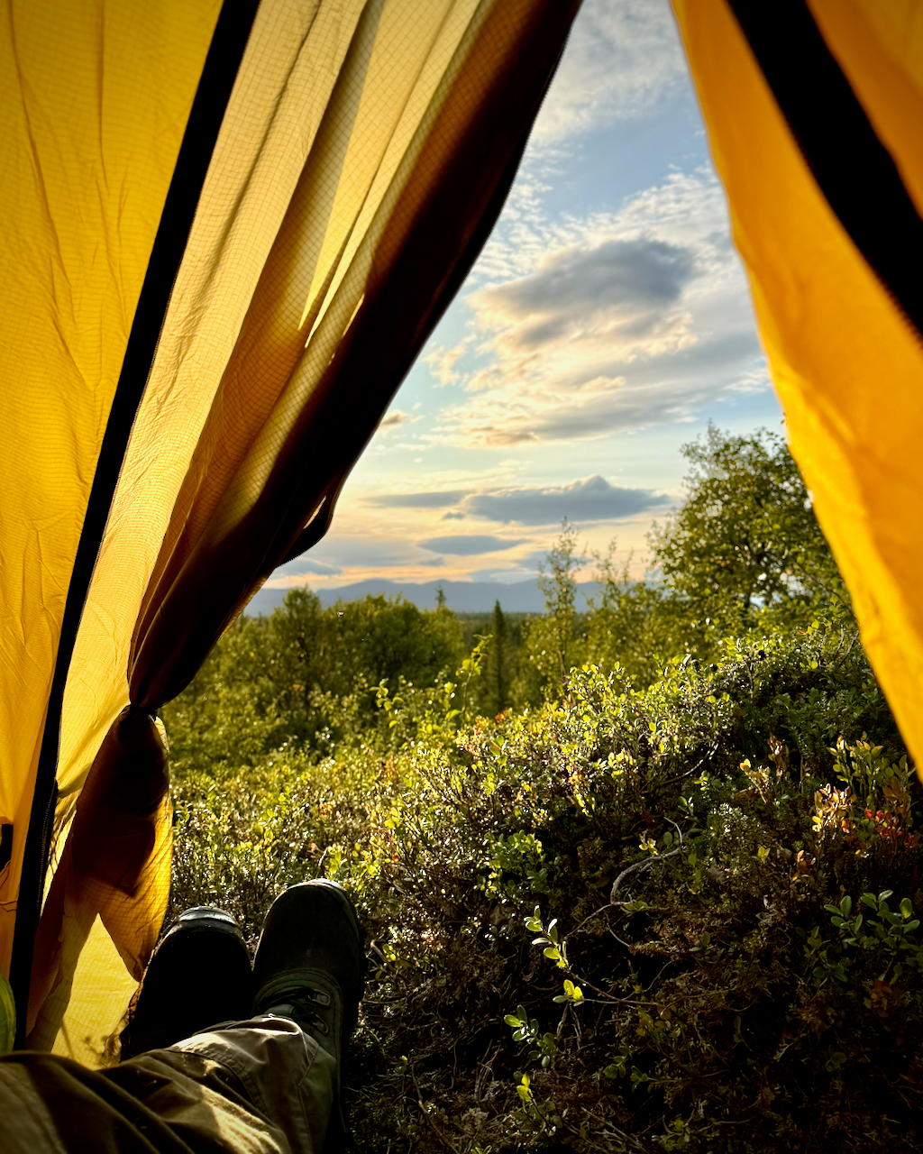 View from inside a yellow tent looking out onto a natural landscape with trees and sky.